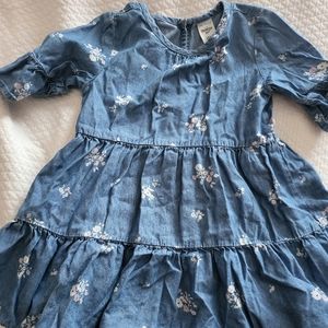 Oshkosh 24 m dress